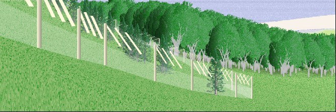 Deer fence