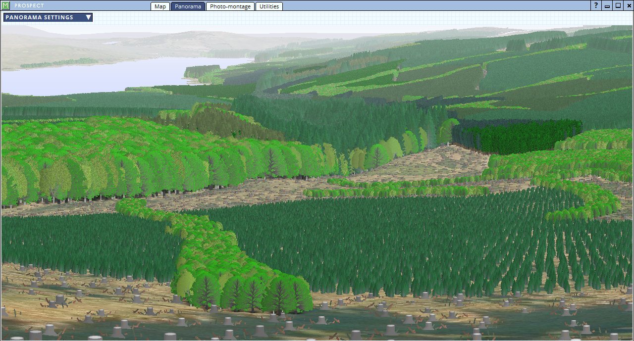 Prospect panorama view showing a 3D woodland visualisation over a loch and forestry landscape